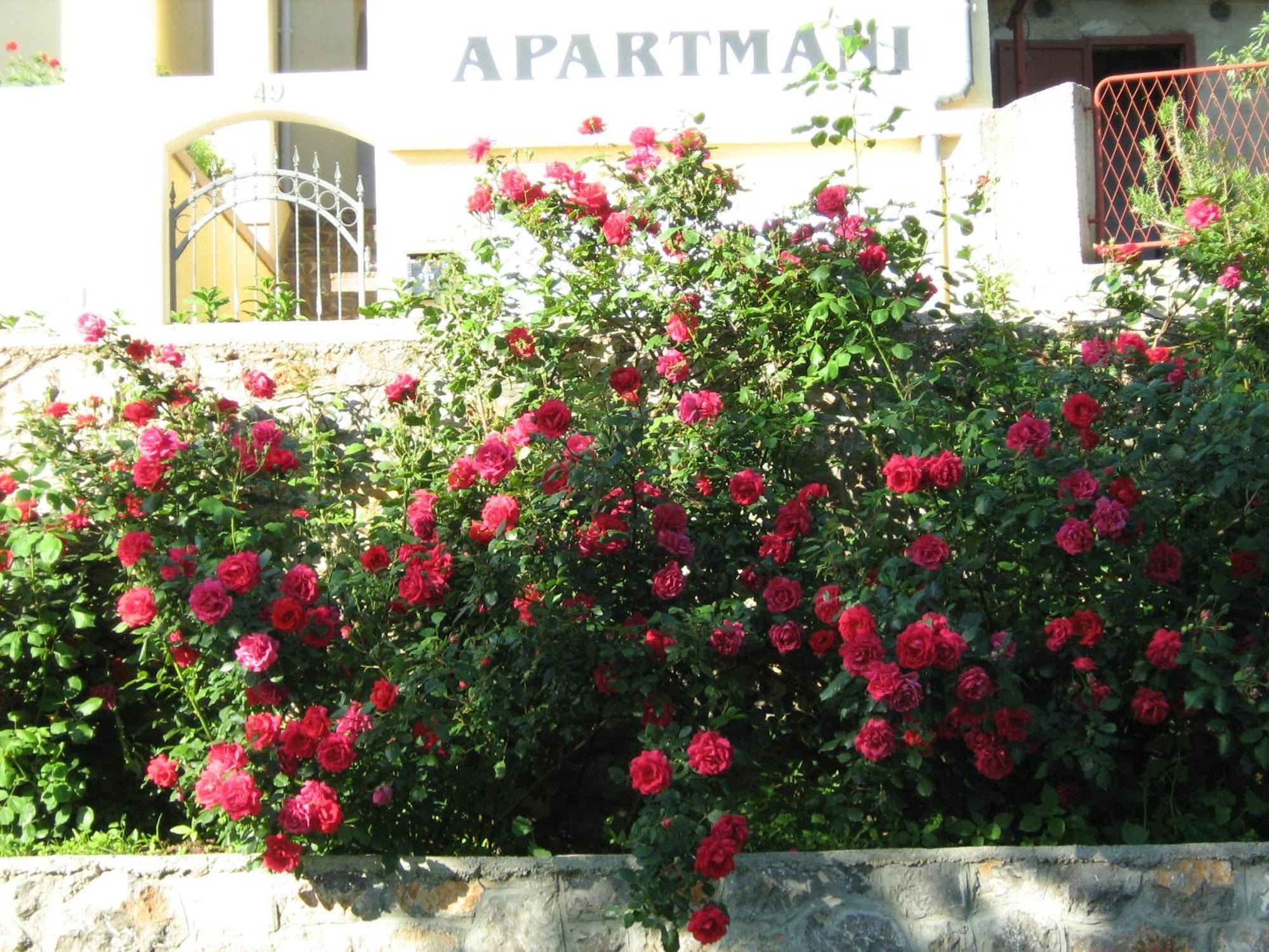 Apartments Laura Сен Екстериор снимка